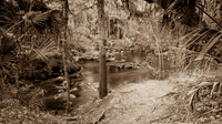 Hillsborough River SP-48