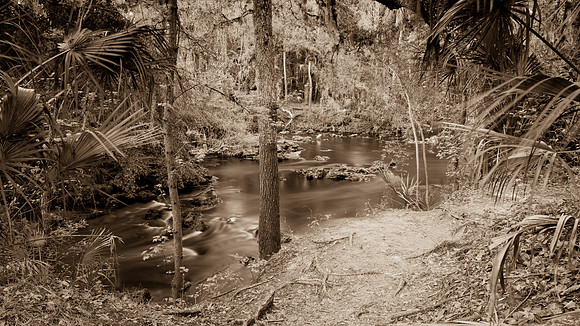 Hillsborough River SP-48