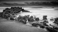 Coral Cove