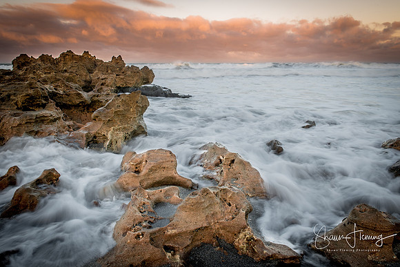 Coral Cove