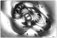Inside the Bean
