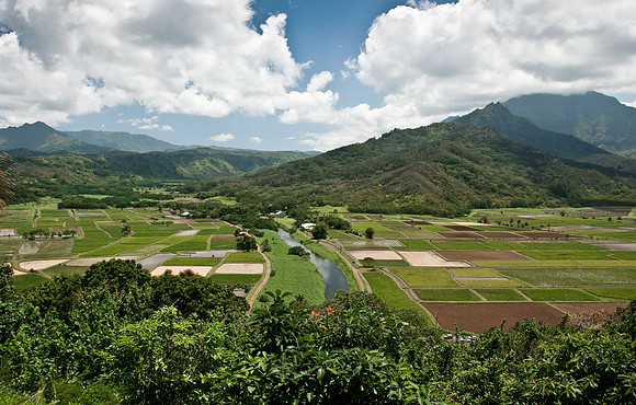 20090426-Hawaii1374
