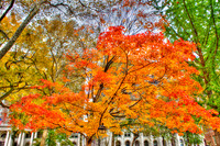 Philadelphia, Independence Hall, Philly, Fall, Trees, HDR, Photomatix, Shawn Fleming Photography, Philadelphia
