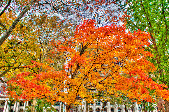 Philadelphia, Independence Hall, Philly, Fall, Trees, HDR, Photomatix, Shawn Fleming Photography, Philadelphia