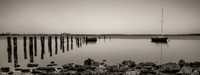 Dunedin Sailboat