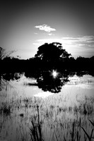 Sunset at Loxahatchee Wildlife Refuge 2