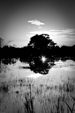 Sunset at Loxahatchee Wildlife Refuge 2
