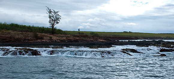 20090424-Hawaii125