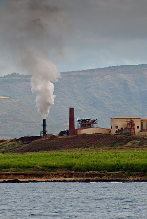 20090424-Hawaii40