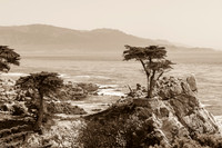 17 Mile Drive