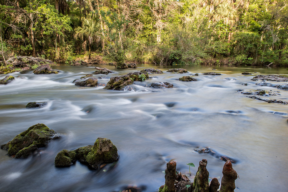 Hillsborough River SP-46