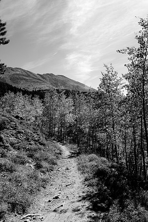 Curving Trail