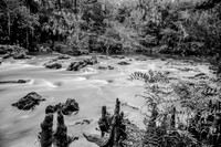Hillsborough River State Park