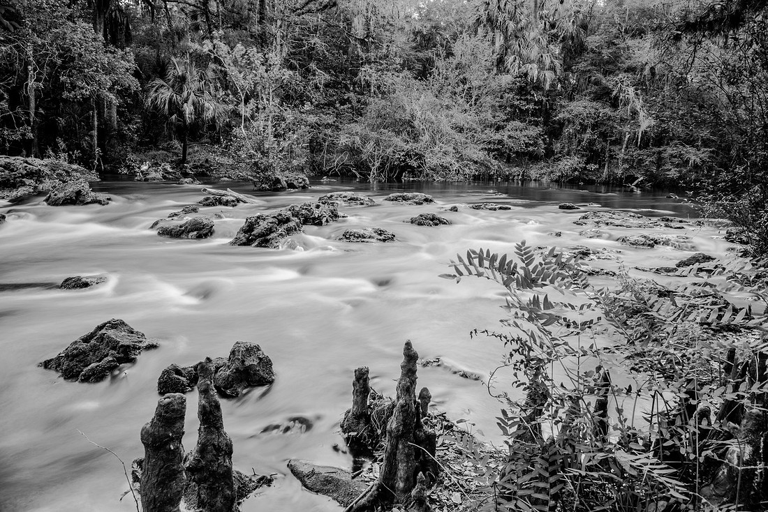 Hillsborough River SP-21