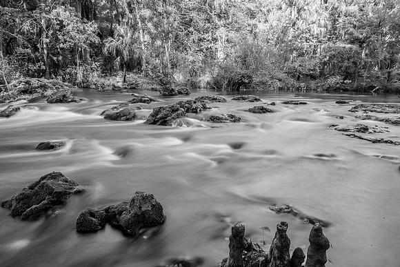 Hillsborough River SP-46