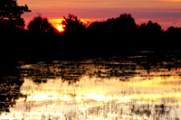 Sunset at Loxahatchee Wildlife Refuge 1