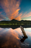Lilly Lake, CO