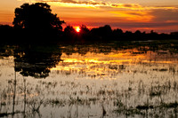 Sunset at Loxahatchee Wildlife Refuge