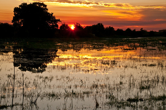 Sunset at Loxahatchee Wildlife Refuge