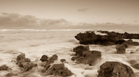 030814 - Coral Cove and Jupiter-33