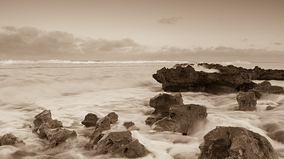 030814 - Coral Cove and Jupiter-33